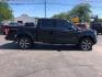 2016 BLACK /BLACK Ford F-150 XLT SuperCrew 6.5-ft. Bed 4WD (1FTEW1EP8GF) with an 2.7L V6 DOHC 24V engine, 6A transmission, located at 3304 Woodville Road, Northwood, OH, 43619, (419) 210-8019, 41.612694, -83.480743 - Your #1 Destination for Auto Loans and mdash;No Matter Your Credit!At our dealership, we believe everyone deserves the opportunity to drive their dream car and mdash;whether you have good credit, bad credit, or no credit at all. With a wide selection of hundreds of cars, trucks, and SUVs, you'll fin - Photo#5