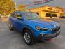 2020 BLUE /BLACK Jeep Cherokee Trailhawk Elite 4WD (1C4PJMBX5LD) with an 3.2L V6 DOHC 24V engine, 9A transmission, located at 3304 Woodville Road, Northwood, OH, 43619, (419) 210-8019, 41.612694, -83.480743 - Photo#6