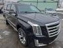 2017 BLACK /BLACK Cadillac Escalade ESV Premium 4WD (1GYS4JKJ1HR) with an 6.2L V8 OHV 16V FFV engine, 8A transmission, located at 3304 Woodville Road, Northwood, OH, 43619, (419) 210-8019, 41.612694, -83.480743 - Your #1 Destination for Auto Loans and mdash;No Matter Your Credit!At our dealership, we believe everyone deserves the opportunity to drive their dream car and mdash;whether you have good credit, bad credit, or no credit at all. With a wide selection of hundreds of cars, trucks, and SUVs, you'll fin - Photo#7