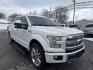 2016 SILVER /BLACK Ford F-150 XLT SuperCrew 6.5-ft. Bed 4WD (1FTEW1EG3GF) with an 3.5L V6 TURBO engine, 6A transmission, located at 3304 Woodville Road, Northwood, OH, 43619, (419) 210-8019, 41.612694, -83.480743 - Your #1 Destination for Auto Loans and mdash;No Matter Your Credit!At our dealership, we believe everyone deserves the opportunity to drive their dream car and mdash;whether you have good credit, bad credit, or no credit at all. With a wide selection of hundreds of cars, trucks, and SUVs, you'll fin - Photo#6
