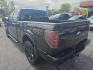 2013 BLACK /BLACK Ford F-150 XLT SuperCrew 6.5-ft. Bed 4WD (1FTFW1EF2DF) with an 5.0L V8 engine, 6-Speed Automatic transmission, located at 3304 Woodville Road, Northwood, OH, 43619, (419) 210-8019, 41.612694, -83.480743 - Your #1 Destination for Auto Loans and mdash;No Matter Your Credit!At our dealership, we believe everyone deserves the opportunity to drive their dream car and mdash;whether you have good credit, bad credit, or no credit at all. With a wide selection of hundreds of cars, trucks, and SUVs, you'll fin- Photo#2