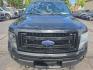 2013 BLACK /BLACK Ford F-150 XLT SuperCrew 6.5-ft. Bed 4WD (1FTFW1EF2DF) with an 5.0L V8 engine, 6-Speed Automatic transmission, located at 3304 Woodville Road, Northwood, OH, 43619, (419) 210-8019, 41.612694, -83.480743 - Your #1 Destination for Auto Loans and mdash;No Matter Your Credit!At our dealership, we believe everyone deserves the opportunity to drive their dream car and mdash;whether you have good credit, bad credit, or no credit at all. With a wide selection of hundreds of cars, trucks, and SUVs, you'll fin- Photo#7