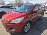 2014 ORANGE /TAN Ford Escape Titanium 4WD (1FMCU9J98EU) with an 2.0L L4 DOHC 16V engine, 6-Speed Automatic transmission, located at 3304 Woodville Road, Northwood, OH, 43619, (419) 210-8019, 41.612694, -83.480743 - Your #1 Destination for Auto Loans and mdash;No Matter Your Credit!At our dealership, we believe everyone deserves the opportunity to drive their dream car and mdash;whether you have good credit, bad credit, or no credit at all. With a wide selection of hundreds of cars, trucks, and SUVs, you'll fin - Photo#0