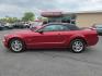 2006 RED /BLACK Ford Mustang GT Deluxe Convertible (1ZVFT85H365) with an 4.6L V8 SOHC 24V engine, Automatic transmission, located at 3304 Woodville Road, Northwood, OH, 43619, (419) 210-8019, 41.612694, -83.480743 - Your #1 Destination for Auto Loans and mdash;No Matter Your Credit!At our dealership, we believe everyone deserves the opportunity to drive their dream car and mdash;whether you have good credit, bad credit, or no credit at all. With a wide selection of hundreds of cars, trucks, and SUVs, you'll fin - Photo#1