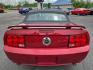2006 RED /BLACK Ford Mustang GT Deluxe Convertible (1ZVFT85H365) with an 4.6L V8 SOHC 24V engine, Automatic transmission, located at 3304 Woodville Road, Northwood, OH, 43619, (419) 210-8019, 41.612694, -83.480743 - Your #1 Destination for Auto Loans and mdash;No Matter Your Credit!At our dealership, we believe everyone deserves the opportunity to drive their dream car and mdash;whether you have good credit, bad credit, or no credit at all. With a wide selection of hundreds of cars, trucks, and SUVs, you'll fin - Photo#2