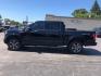 2016 BLACK /BLACK Ford F-150 XLT SuperCrew 6.5-ft. Bed 4WD (1FTEW1EP8GF) with an 2.7L V6 DOHC 24V engine, 6A transmission, located at 3304 Woodville Road, Northwood, OH, 43619, (419) 210-8019, 41.612694, -83.480743 - Photo#1