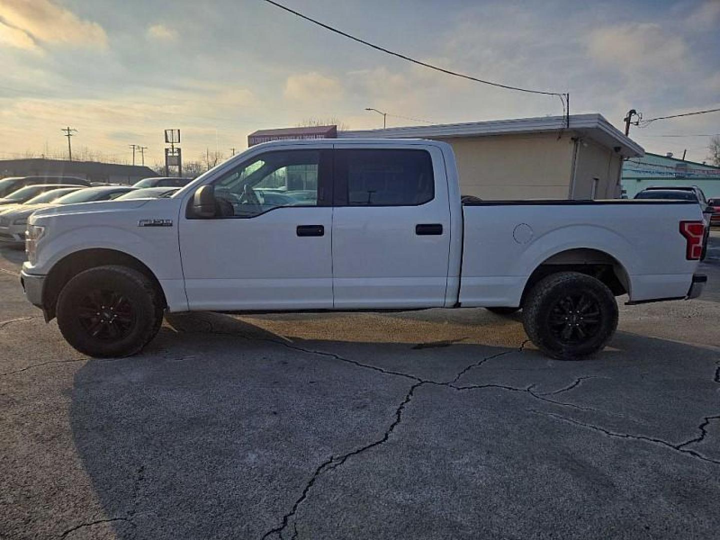 2019 WHITE /GRAY Ford F-150 XL SuperCrew 6.5-ft. Bed 4WD (1FTFW1E56KF) with an 5.0L V8 OHV 16V engine, 6A transmission, located at 3304 Woodville Road, Northwood, OH, 43619, (419) 210-8019, 41.612694, -83.480743 - Your #1 Destination for Auto Loans and mdash;No Matter Your Credit!At our dealership, we believe everyone deserves the opportunity to drive their dream car and mdash;whether you have good credit, bad credit, or no credit at all. With a wide selection of hundreds of cars, trucks, and SUVs, you'll fin - Photo#1