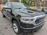 2019 BLACK /BEIGE RAM 1500 Limited Crew Cab LWB 4WD (1C6SRFPT5KN) with an 5.7L V8 OHV 16V engine, 8A transmission, located at 3304 Woodville Road, Northwood, OH, 43619, (419) 210-8019, 41.612694, -83.480743 - Your #1 Destination for Auto Loans and mdash;No Matter Your Credit!At our dealership, we believe everyone deserves the opportunity to drive their dream car and mdash;whether you have good credit, bad credit, or no credit at all. With a wide selection of hundreds of cars, trucks, and SUVs, you'll fin - Photo#6