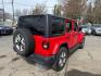 2020 RED /BLACK Jeep Wrangler Unlimited Sahara (1C4HJXEN7LW) with an 2.0L L4 DOHC 16V TURBO engine, 6A transmission, located at 3304 Woodville Road, Northwood, OH, 43619, (419) 210-8019, 41.612694, -83.480743 - Your #1 Destination for Auto Loans and mdash;No Matter Your Credit!At our dealership, we believe everyone deserves the opportunity to drive their dream car and mdash;whether you have good credit, bad credit, or no credit at all. With a wide selection of hundreds of cars, trucks, and SUVs, you'll fin - Photo#4