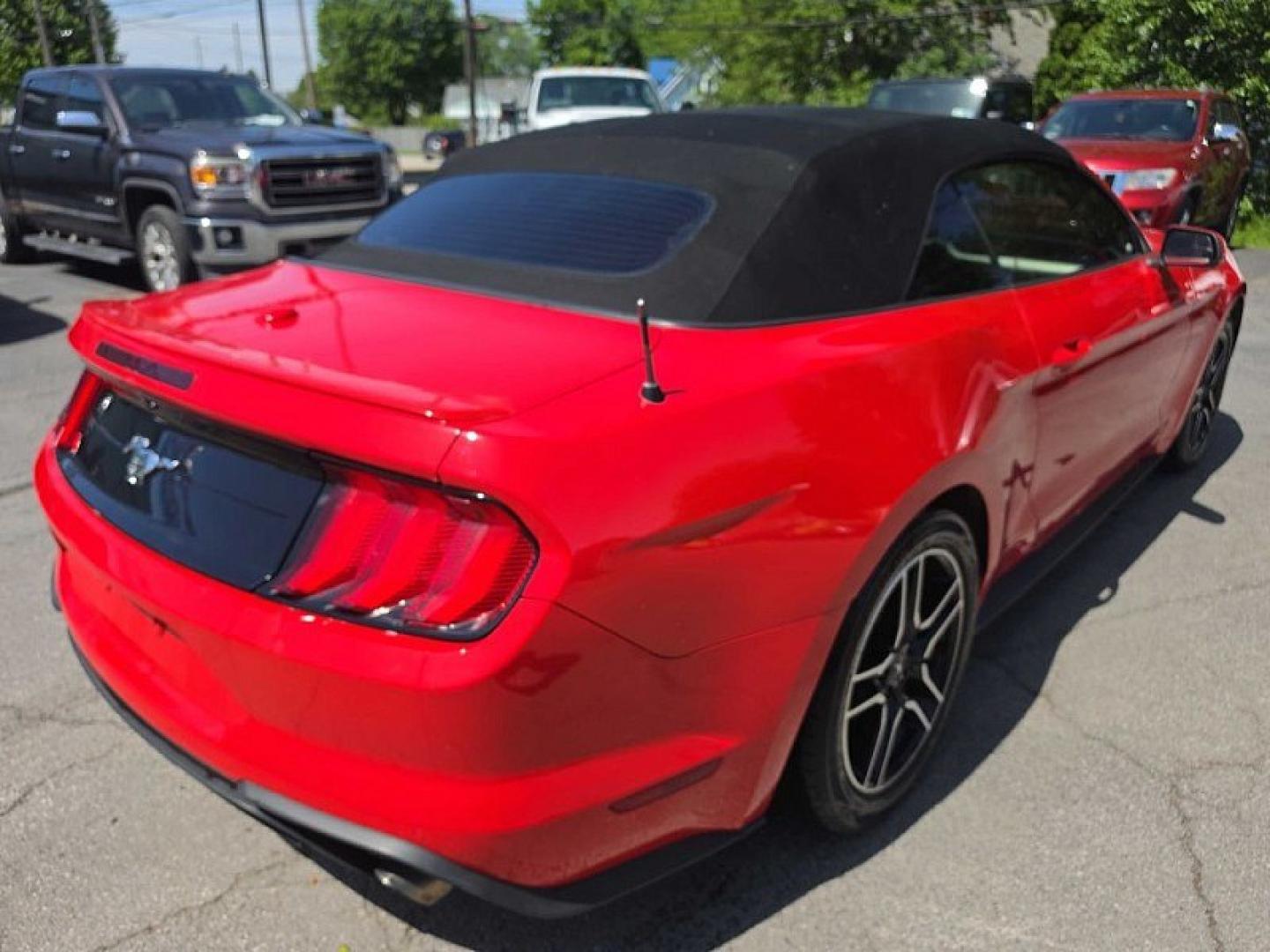 2019 RED /BLACK Ford Mustang EcoBoost Premium Convertible (1FATP8UH8K5) with an 2.3L L4 DOHC 16V engine, Automatic 10-Spd w/SelectShift transmission, located at 3304 Woodville Road, Northwood, OH, 43619, (419) 210-8019, 41.612694, -83.480743 - Your #1 Destination for Auto Loans and mdash;No Matter Your Credit!At our dealership, we believe everyone deserves the opportunity to drive their dream car and mdash;whether you have good credit, bad credit, or no credit at all. With a wide selection of hundreds of cars, trucks, and SUVs, you'll fin - Photo#4