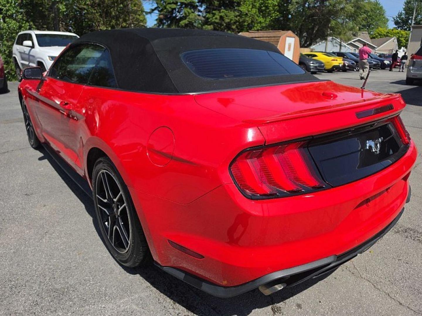 2019 RED /BLACK Ford Mustang EcoBoost Premium Convertible (1FATP8UH8K5) with an 2.3L L4 DOHC 16V engine, Automatic 10-Spd w/SelectShift transmission, located at 3304 Woodville Road, Northwood, OH, 43619, (419) 210-8019, 41.612694, -83.480743 - Your #1 Destination for Auto Loans and mdash;No Matter Your Credit!At our dealership, we believe everyone deserves the opportunity to drive their dream car and mdash;whether you have good credit, bad credit, or no credit at all. With a wide selection of hundreds of cars, trucks, and SUVs, you'll fin - Photo#2