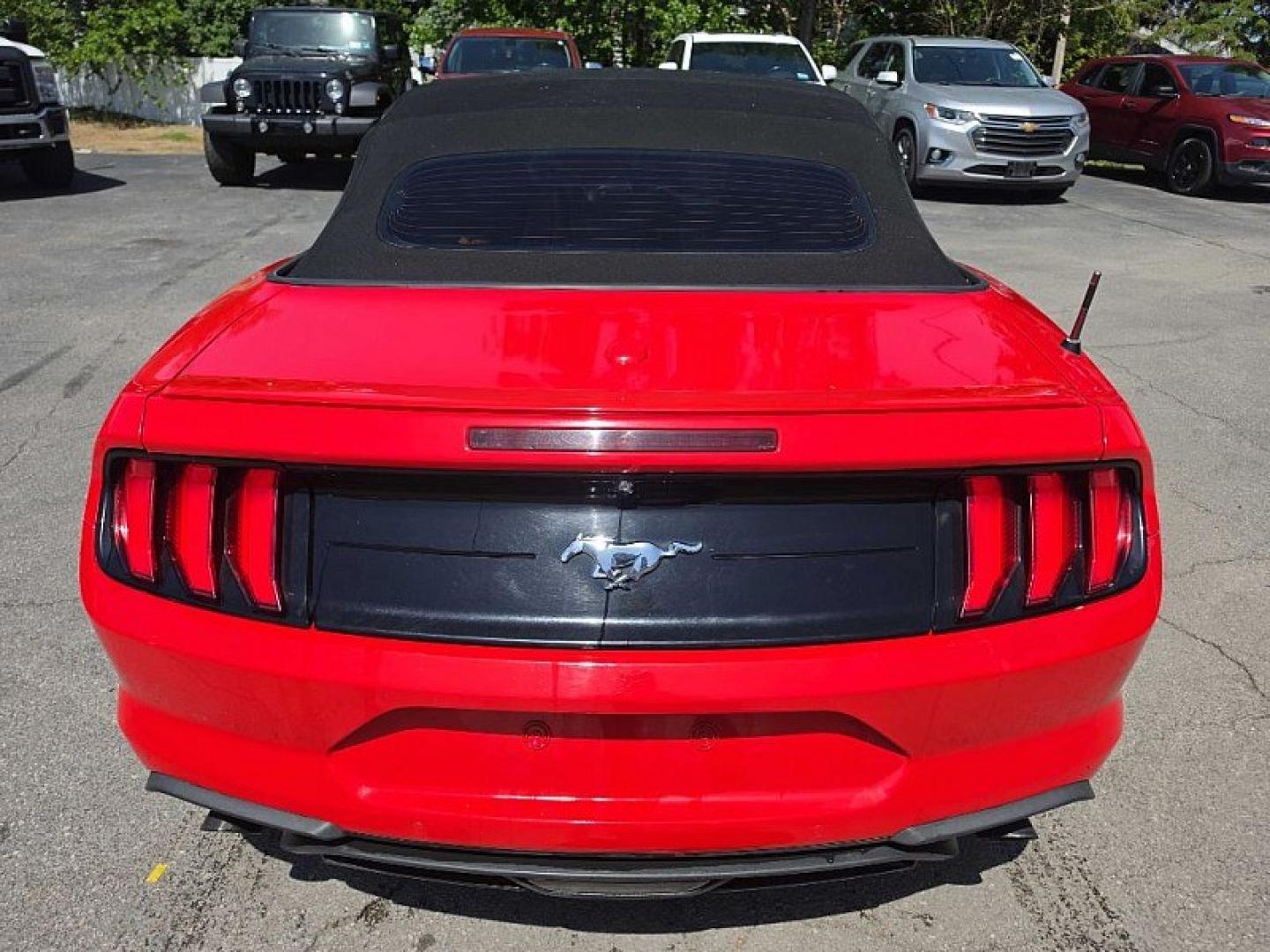 2019 RED /BLACK Ford Mustang EcoBoost Premium Convertible (1FATP8UH8K5) with an 2.3L L4 DOHC 16V engine, Automatic 10-Spd w/SelectShift transmission, located at 3304 Woodville Road, Northwood, OH, 43619, (419) 210-8019, 41.612694, -83.480743 - Your #1 Destination for Auto Loans and mdash;No Matter Your Credit!At our dealership, we believe everyone deserves the opportunity to drive their dream car and mdash;whether you have good credit, bad credit, or no credit at all. With a wide selection of hundreds of cars, trucks, and SUVs, you'll fin - Photo#3