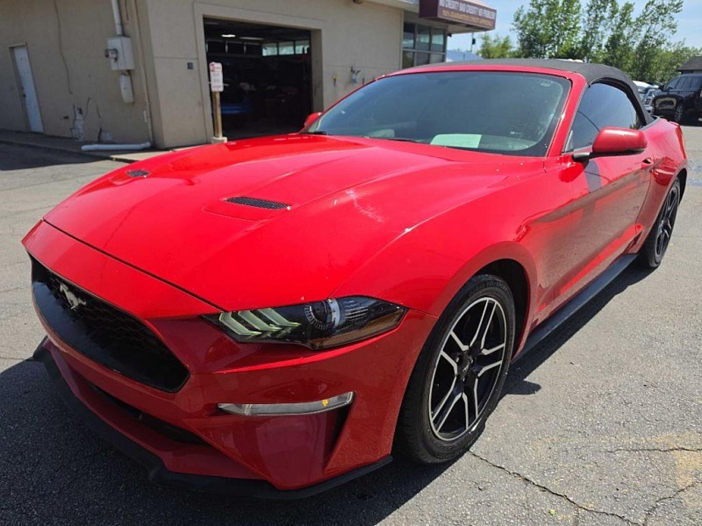 2019 RED /BLACK Ford Mustang EcoBoost Premium Convertible (1FATP8UH8K5) with an 2.3L L4 DOHC 16V engine, Automatic 10-Spd w/SelectShift transmission, located at 3304 Woodville Road, Northwood, OH, 43619, (419) 210-8019, 41.612694, -83.480743 - Your #1 Destination for Auto Loans and mdash;No Matter Your Credit!At our dealership, we believe everyone deserves the opportunity to drive their dream car and mdash;whether you have good credit, bad credit, or no credit at all. With a wide selection of hundreds of cars, trucks, and SUVs, you'll fin - Photo#0