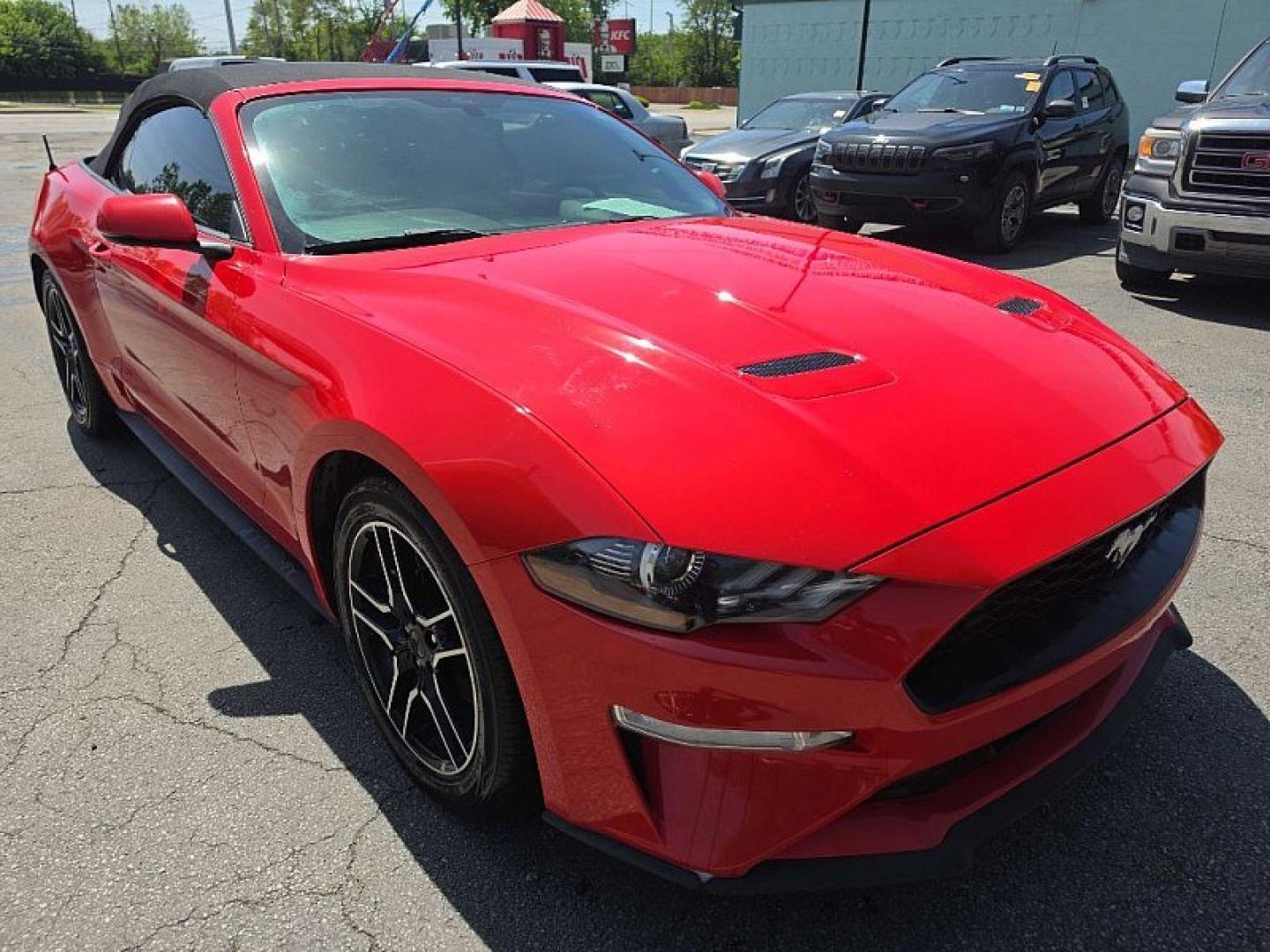 2019 RED /BLACK Ford Mustang EcoBoost Premium Convertible (1FATP8UH8K5) with an 2.3L L4 DOHC 16V engine, Automatic 10-Spd w/SelectShift transmission, located at 3304 Woodville Road, Northwood, OH, 43619, (419) 210-8019, 41.612694, -83.480743 - Your #1 Destination for Auto Loans and mdash;No Matter Your Credit!At our dealership, we believe everyone deserves the opportunity to drive their dream car and mdash;whether you have good credit, bad credit, or no credit at all. With a wide selection of hundreds of cars, trucks, and SUVs, you'll fin - Photo#6