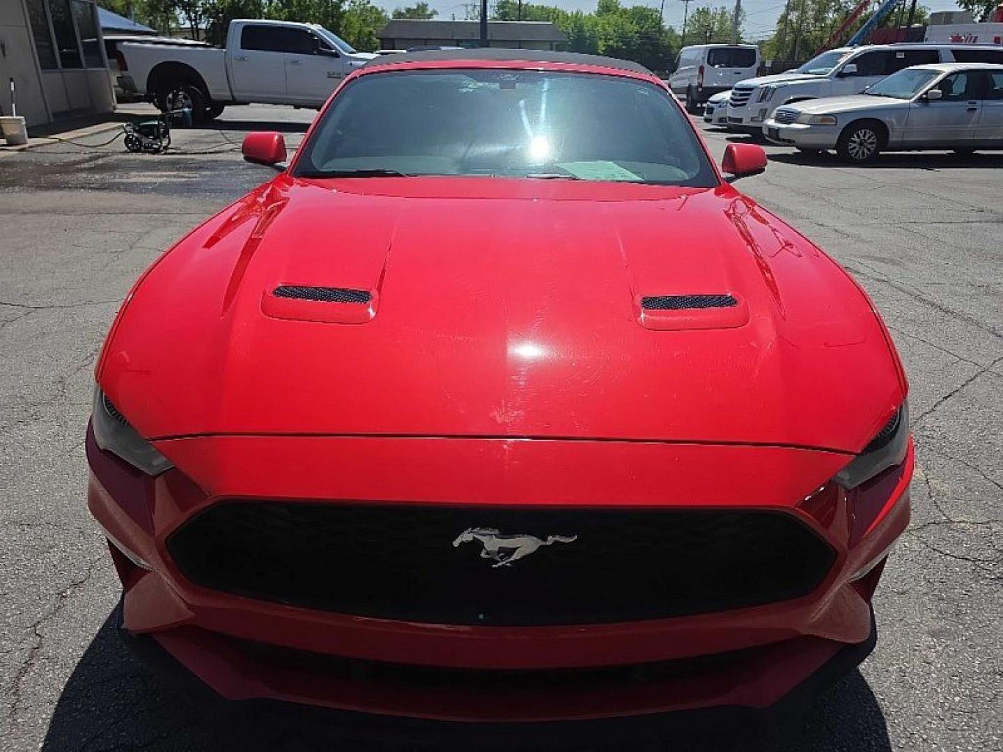 2019 RED /BLACK Ford Mustang EcoBoost Premium Convertible (1FATP8UH8K5) with an 2.3L L4 DOHC 16V engine, Automatic 10-Spd w/SelectShift transmission, located at 3304 Woodville Road, Northwood, OH, 43619, (419) 210-8019, 41.612694, -83.480743 - Your #1 Destination for Auto Loans and mdash;No Matter Your Credit!At our dealership, we believe everyone deserves the opportunity to drive their dream car and mdash;whether you have good credit, bad credit, or no credit at all. With a wide selection of hundreds of cars, trucks, and SUVs, you'll fin - Photo#7