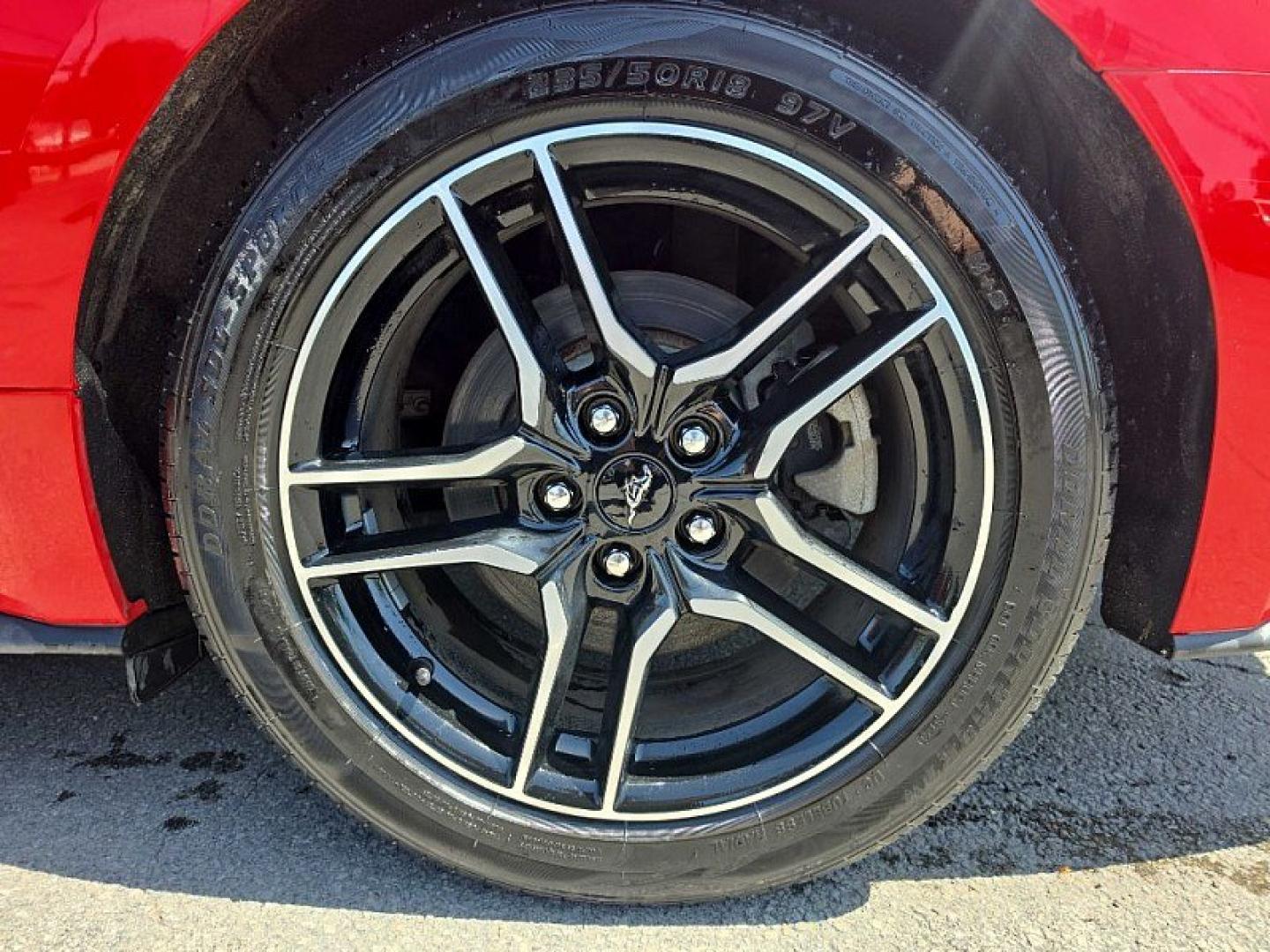 2019 RED /BLACK Ford Mustang EcoBoost Premium Convertible (1FATP8UH8K5) with an 2.3L L4 DOHC 16V engine, Automatic 10-Spd w/SelectShift transmission, located at 3304 Woodville Road, Northwood, OH, 43619, (419) 210-8019, 41.612694, -83.480743 - Your #1 Destination for Auto Loans and mdash;No Matter Your Credit!At our dealership, we believe everyone deserves the opportunity to drive their dream car and mdash;whether you have good credit, bad credit, or no credit at all. With a wide selection of hundreds of cars, trucks, and SUVs, you'll fin - Photo#17