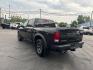 2016 BLACK /BLACK RAM 1500 Rebel Crew Cab SWB 4WD (1C6RR7YT8GS) with an 5.7L V8 OHV 16V engine, 6A transmission, located at 3304 Woodville Road, Northwood, OH, 43619, (419) 210-8019, 41.612694, -83.480743 - Your #1 Destination for Auto Loans and mdash;No Matter Your Credit!At our dealership, we believe everyone deserves the opportunity to drive their dream car and mdash;whether you have good credit, bad credit, or no credit at all. With a wide selection of hundreds of cars, trucks, and SUVs, you'll fin- Photo#2