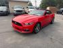 2015 RED /BLACK Ford Mustang EcoBoost Premium Convertible (1FATP8UH2F5) with an 2.3L L4 DOHC 16V engine, Auto 6-Spd SelectShift transmission, located at 3304 Woodville Road, Northwood, OH, 43619, (419) 210-8019, 41.612694, -83.480743 - Your #1 Destination for Auto Loans and mdash;No Matter Your Credit!At our dealership, we believe everyone deserves the opportunity to drive their dream car and mdash;whether you have good credit, bad credit, or no credit at all. With a wide selection of hundreds of cars, trucks, and SUVs, you'll fin- Photo#0
