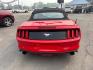 2015 RED /BLACK Ford Mustang EcoBoost Premium Convertible (1FATP8UH2F5) with an 2.3L L4 DOHC 16V engine, Auto 6-Spd SelectShift transmission, located at 3304 Woodville Road, Northwood, OH, 43619, (419) 210-8019, 41.612694, -83.480743 - Your #1 Destination for Auto Loans and mdash;No Matter Your Credit!At our dealership, we believe everyone deserves the opportunity to drive their dream car and mdash;whether you have good credit, bad credit, or no credit at all. With a wide selection of hundreds of cars, trucks, and SUVs, you'll fin- Photo#3