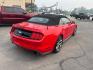 2015 RED /BLACK Ford Mustang EcoBoost Premium Convertible (1FATP8UH2F5) with an 2.3L L4 DOHC 16V engine, Auto 6-Spd SelectShift transmission, located at 3304 Woodville Road, Northwood, OH, 43619, (419) 210-8019, 41.612694, -83.480743 - Your #1 Destination for Auto Loans and mdash;No Matter Your Credit!At our dealership, we believe everyone deserves the opportunity to drive their dream car and mdash;whether you have good credit, bad credit, or no credit at all. With a wide selection of hundreds of cars, trucks, and SUVs, you'll fin- Photo#4