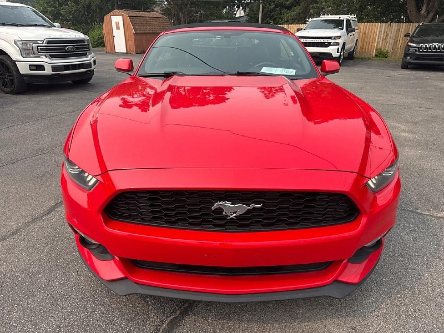 2015 RED /BLACK Ford Mustang EcoBoost Premium Convertible (1FATP8UH2F5) with an 2.3L L4 DOHC 16V engine, Auto 6-Spd SelectShift transmission, located at 3304 Woodville Road, Northwood, OH, 43619, (419) 210-8019, 41.612694, -83.480743 - Your #1 Destination for Auto Loans and mdash;No Matter Your Credit!At our dealership, we believe everyone deserves the opportunity to drive their dream car and mdash;whether you have good credit, bad credit, or no credit at all. With a wide selection of hundreds of cars, trucks, and SUVs, you'll fin- Photo#7