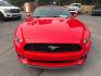 2015 RED /BLACK Ford Mustang EcoBoost Premium Convertible (1FATP8UH2F5) with an 2.3L L4 DOHC 16V engine, Auto 6-Spd SelectShift transmission, located at 3304 Woodville Road, Northwood, OH, 43619, (419) 210-8019, 41.612694, -83.480743 - Your #1 Destination for Auto Loans and mdash;No Matter Your Credit!At our dealership, we believe everyone deserves the opportunity to drive their dream car and mdash;whether you have good credit, bad credit, or no credit at all. With a wide selection of hundreds of cars, trucks, and SUVs, you'll fin- Photo#7