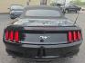 2016 BLACK /BLACK Ford Mustang EcoBoost Premium Convertible (1FATP8UH9G5) with an 2.3L L4 DOHC 16V engine, Auto 6-Spd SelectShift transmission, located at 3304 Woodville Road, Northwood, OH, 43619, (419) 210-8019, 41.612694, -83.480743 - Your #1 Destination for Auto Loans and mdash;No Matter Your Credit!At our dealership, we believe everyone deserves the opportunity to drive their dream car and mdash;whether you have good credit, bad credit, or no credit at all. With a wide selection of hundreds of cars, trucks, and SUVs, you'll fin- Photo#3