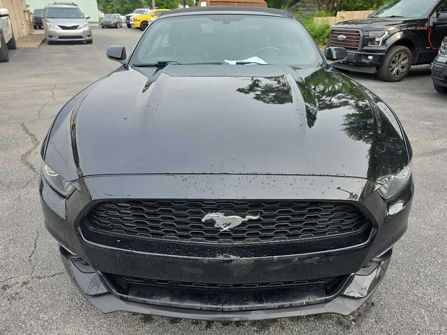2016 BLACK /BLACK Ford Mustang EcoBoost Premium Convertible (1FATP8UH9G5) with an 2.3L L4 DOHC 16V engine, Auto 6-Spd SelectShift transmission, located at 3304 Woodville Road, Northwood, OH, 43619, (419) 210-8019, 41.612694, -83.480743 - Your #1 Destination for Auto Loans and mdash;No Matter Your Credit!At our dealership, we believe everyone deserves the opportunity to drive their dream car and mdash;whether you have good credit, bad credit, or no credit at all. With a wide selection of hundreds of cars, trucks, and SUVs, you'll fin- Photo#7