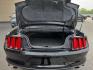 2016 BLACK /BLACK Ford Mustang EcoBoost Premium Convertible (1FATP8UH9G5) with an 2.3L L4 DOHC 16V engine, Auto 6-Spd SelectShift transmission, located at 3304 Woodville Road, Northwood, OH, 43619, (419) 210-8019, 41.612694, -83.480743 - Your #1 Destination for Auto Loans and mdash;No Matter Your Credit!At our dealership, we believe everyone deserves the opportunity to drive their dream car and mdash;whether you have good credit, bad credit, or no credit at all. With a wide selection of hundreds of cars, trucks, and SUVs, you'll fin- Photo#11