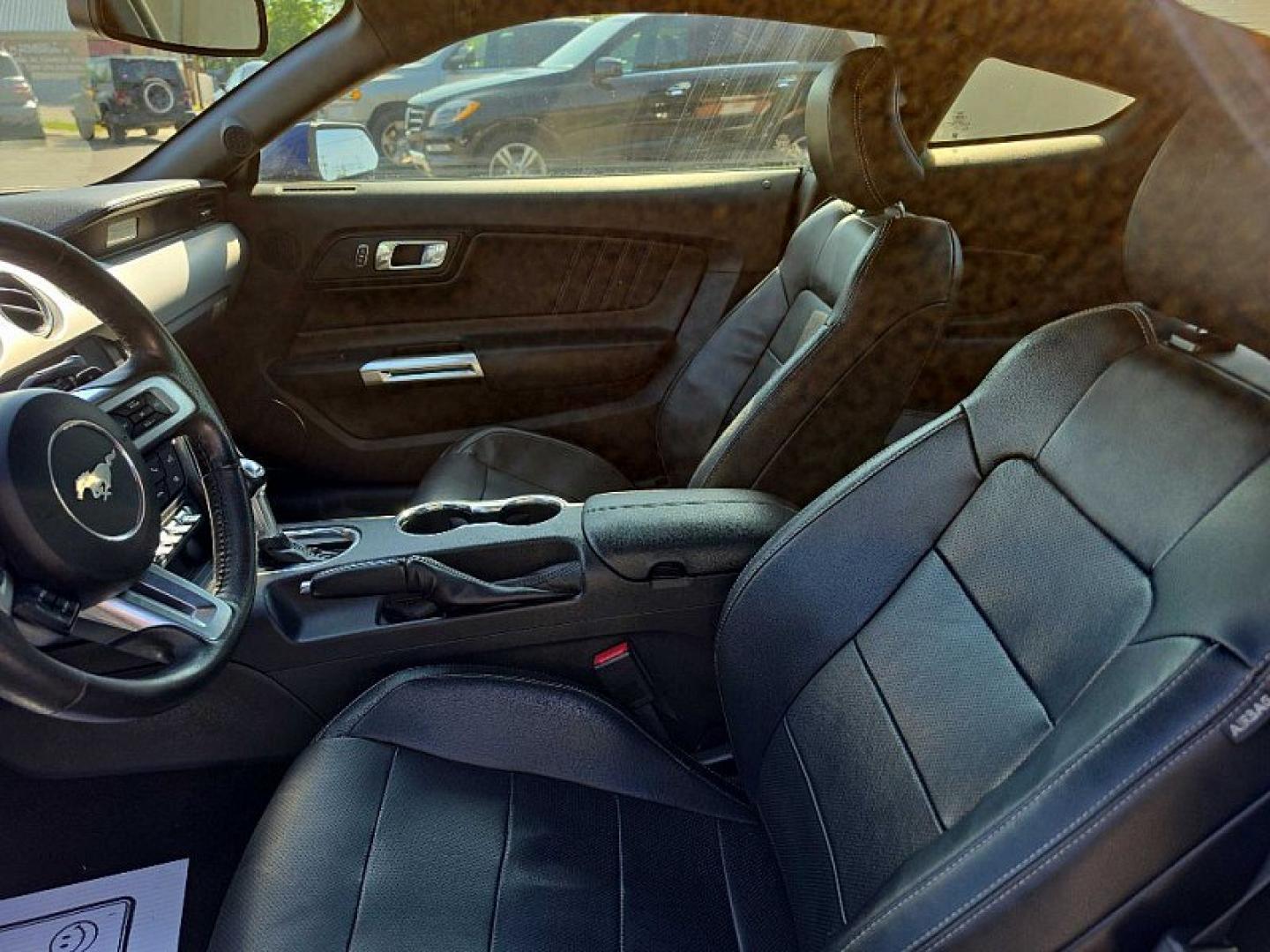 2015 BLUE /BLACK Ford Mustang EcoBoost Coupe (1FA6P8TH0F5) with an 2.3L L4 DOHC 16V engine, Auto 6-Spd SelectShift transmission, located at 3304 Woodville Road, Northwood, OH, 43619, (419) 210-8019, 41.612694, -83.480743- Photo#9