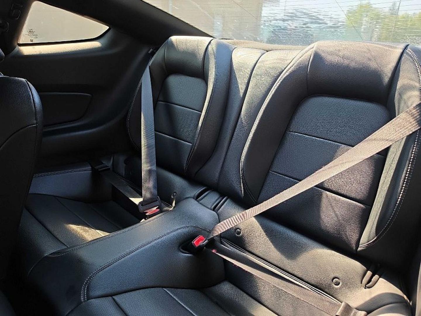 2015 BLUE /BLACK Ford Mustang EcoBoost Coupe (1FA6P8TH0F5) with an 2.3L L4 DOHC 16V engine, Auto 6-Spd SelectShift transmission, located at 3304 Woodville Road, Northwood, OH, 43619, (419) 210-8019, 41.612694, -83.480743- Photo#10