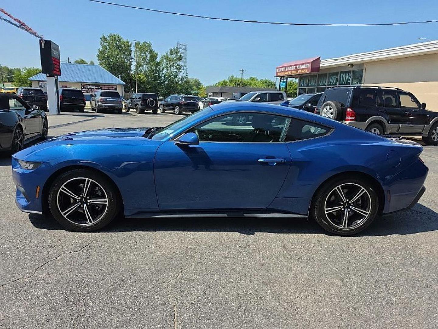 2024 BLUE /BLACK Ford Mustang EcoBoost Coupe (1FA6P8TH9R5) with an 2.3L L4 DOHC 16V engine, Automatic 10-Spd w/SelectShift transmission, located at 3304 Woodville Road, Northwood, OH, 43619, (419) 210-8019, 41.612694, -83.480743 - Your #1 Destination for Auto Loans and mdash;No Matter Your Credit!At our dealership, we believe everyone deserves the opportunity to drive their dream car and mdash;whether you have good credit, bad credit, or no credit at all. With a wide selection of hundreds of cars, trucks, and SUVs, you'll fin- Photo#1