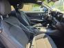 2024 BLUE /BLACK Ford Mustang EcoBoost Coupe (1FA6P8TH9R5) with an 2.3L L4 DOHC 16V engine, Automatic 10-Spd w/SelectShift transmission, located at 3304 Woodville Road, Northwood, OH, 43619, (419) 210-8019, 41.612694, -83.480743 - Your #1 Destination for Auto Loans and mdash;No Matter Your Credit!At our dealership, we believe everyone deserves the opportunity to drive their dream car and mdash;whether you have good credit, bad credit, or no credit at all. With a wide selection of hundreds of cars, trucks, and SUVs, you'll fin- Photo#13