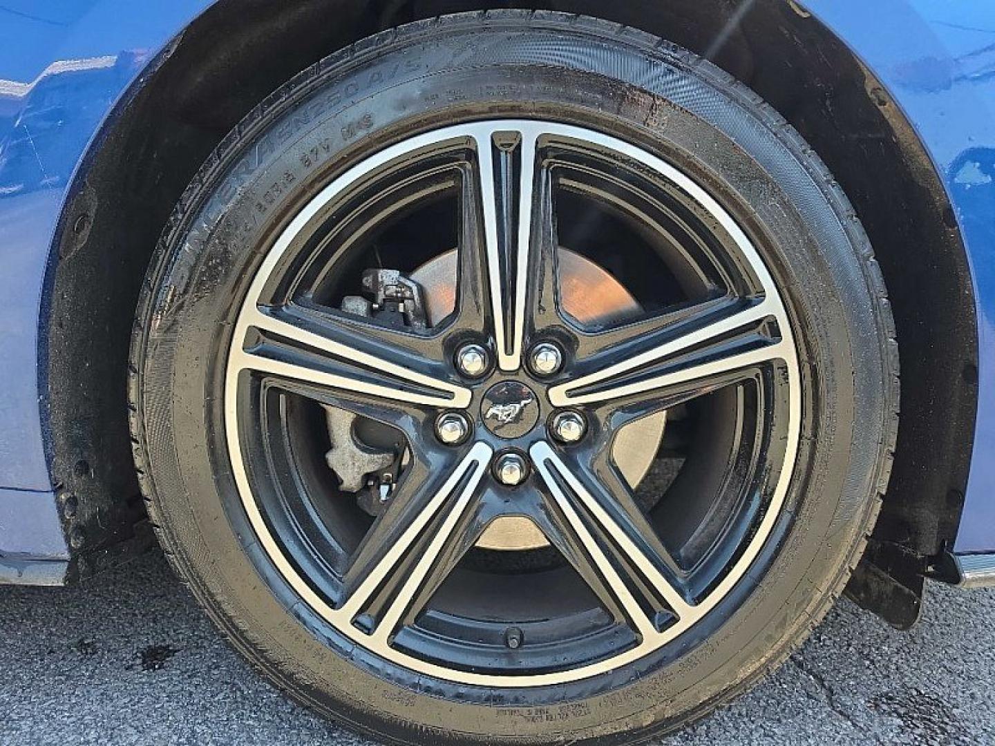 2024 BLUE /BLACK Ford Mustang EcoBoost Coupe (1FA6P8TH9R5) with an 2.3L L4 DOHC 16V engine, Automatic 10-Spd w/SelectShift transmission, located at 3304 Woodville Road, Northwood, OH, 43619, (419) 210-8019, 41.612694, -83.480743 - Your #1 Destination for Auto Loans and mdash;No Matter Your Credit!At our dealership, we believe everyone deserves the opportunity to drive their dream car and mdash;whether you have good credit, bad credit, or no credit at all. With a wide selection of hundreds of cars, trucks, and SUVs, you'll fin- Photo#15