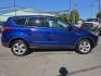 2016 BLUE /BLACK Ford Escape SE 4WD (1FMCU9GX2GU) with an 1.6L L4 DOHC 16V engine, 6A transmission, located at 3304 Woodville Road, Northwood, OH, 43619, (419) 210-8019, 41.612694, -83.480743 - Your #1 Destination for Auto Loans and mdash;No Matter Your Credit!At our dealership, we believe everyone deserves the opportunity to drive their dream car and mdash;whether you have good credit, bad credit, or no credit at all. With a wide selection of hundreds of cars, trucks, and SUVs, you'll fin- Photo#5