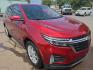 2023 RED /BLACK Chevrolet Equinox LT Fleet 2WD (3GNAXJEG2PS) with an 1.5L L4 DOHC 16V TURBO engine, 6A transmission, located at 3304 Woodville Road, Northwood, OH, 43619, (419) 210-8019, 41.612694, -83.480743 - Your #1 Destination for Auto Loans and mdash;No Matter Your Credit!At our dealership, we believe everyone deserves the opportunity to drive their dream car and mdash;whether you have good credit, bad credit, or no credit at all. With a wide selection of hundreds of cars, trucks, and SUVs, you'll fin- Photo#6