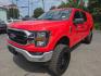 2023 RED /GRAY Ford F-150 King-Ranch SuperCrew 5.5-ft. 2WD (1FTEW1EB3PK) with an 3.3L V6 DOHC 24V engine, 6A transmission, located at 3304 Woodville Road, Northwood, OH, 43619, (419) 210-8019, 41.612694, -83.480743 - Your #1 Destination for Auto Loans and mdash;No Matter Your Credit!At our dealership, we believe everyone deserves the opportunity to drive their dream car and mdash;whether you have good credit, bad credit, or no credit at all. With a wide selection of hundreds of cars, trucks, and SUVs, you'll fin- Photo#0