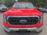 2023 RED /GRAY Ford F-150 King-Ranch SuperCrew 5.5-ft. 2WD (1FTEW1EB3PK) with an 3.3L V6 DOHC 24V engine, 6A transmission, located at 3304 Woodville Road, Northwood, OH, 43619, (419) 210-8019, 41.612694, -83.480743 - Your #1 Destination for Auto Loans and mdash;No Matter Your Credit!At our dealership, we believe everyone deserves the opportunity to drive their dream car and mdash;whether you have good credit, bad credit, or no credit at all. With a wide selection of hundreds of cars, trucks, and SUVs, you'll fin- Photo#7