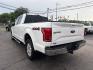 2019 WHITE /GRAY Ford F-150 King Ranch SuperCrew 6.5-ft. 4WD (1FTFW1E48KF) with an 3.5L V6 DOHC 24V engine, 6A transmission, located at 3304 Woodville Road, Northwood, OH, 43619, (419) 210-8019, 41.612694, -83.480743- Photo#72