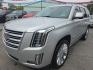2019 SILVER /BLACK Cadillac Escalade Platinum 4WD (1GYS4DKJXKR) with an 6.2L V8 OHV 16V FFV engine, 10A transmission, located at 3304 Woodville Road, Northwood, OH, 43619, (419) 210-8019, 41.612694, -83.480743- Photo#0