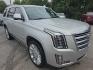 2019 SILVER /BLACK Cadillac Escalade Platinum 4WD (1GYS4DKJXKR) with an 6.2L V8 OHV 16V FFV engine, 10A transmission, located at 3304 Woodville Road, Northwood, OH, 43619, (419) 210-8019, 41.612694, -83.480743- Photo#6