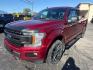 2019 RED /BLACK Ford F-150 XLT SuperCrew 6.5-ft. Bed 4WD (1FTEW1E41KF) with an 3.5L V6 TURBO engine, 6A transmission, located at 3304 Woodville Road, Northwood, OH, 43619, (419) 210-8019, 41.612694, -83.480743- Photo#0