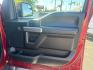 2019 RED /BLACK Ford F-150 XLT SuperCrew 6.5-ft. Bed 4WD (1FTEW1E41KF) with an 3.5L V6 TURBO engine, 6A transmission, located at 3304 Woodville Road, Northwood, OH, 43619, (419) 210-8019, 41.612694, -83.480743- Photo#14