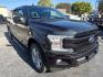 2018 RED /BLACK Ford F-150 XLT SuperCrew 5.5-ft. Bed 4WD (1FTFW1EG3JK) with an 3.5 V6 engine, 6A transmission, located at 3304 Woodville Road, Northwood, OH, 43619, (419) 210-8019, 41.612694, -83.480743 - Your #1 Destination for Auto Loans and mdash;No Matter Your Credit!At our dealership, we believe everyone deserves the opportunity to drive their dream car and mdash;whether you have good credit, bad credit, or no credit at all. With a wide selection of hundreds of cars, trucks, and SUVs, you'll fin- Photo#6