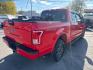 2015 RED Ford F-150 XLT SuperCrew 6.5-ft. Bed 4WD (1FTEW1EG3FK) with an 3.5L V6 TURBO engine, 6-Speed Automatic transmission, located at 3304 Woodville Road, Northwood, OH, 43619, (419) 210-8019, 41.612694, -83.480743 - Your #1 Destination for Auto Loans and mdash;No Matter Your Credit!At our dealership, we believe everyone deserves the opportunity to drive their dream car and mdash;whether you have good credit, bad credit, or no credit at all. With a wide selection of hundreds of cars, trucks, and SUVs, you'll fin- Photo#4